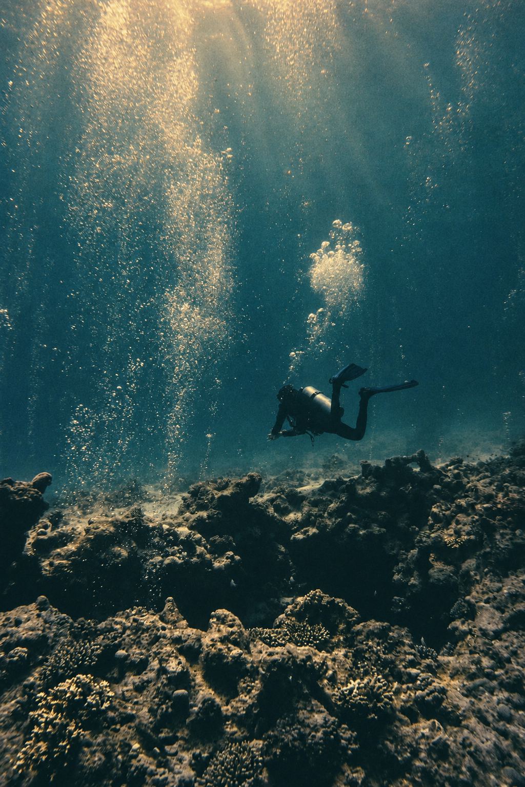A lone diver seen from a distance in silhouette, with rising bubbles in teal water above a dark reef.